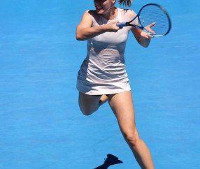 壹号-关于莎拉波娃新星挺进下一轮表现惊艳，MAD未来可期！的信息